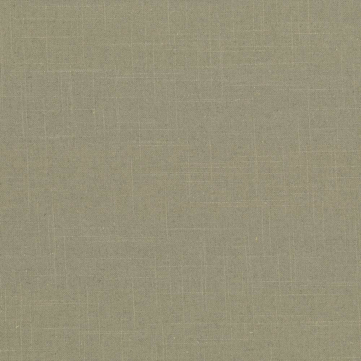 Brigadoon Morel by Kasmir Designer Fabric 5048 55% Linen 45% Rayon CHINA 12,000 Wyzenbeek Double Rubs Horizontal: 0 Inches and Vertical: 0 Inches 54 - 55 - Swanky Fabrics -