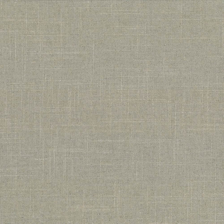 Brigadoon Pebble by Kasmir Designer Fabric 1377 55% Linen 45% Rayon CHINA 12,000 Wyzenbeek Double Rubs Horizontal: 0 Inches and Vertical: 0 Inches 54 - 55 - Swanky Fabrics -