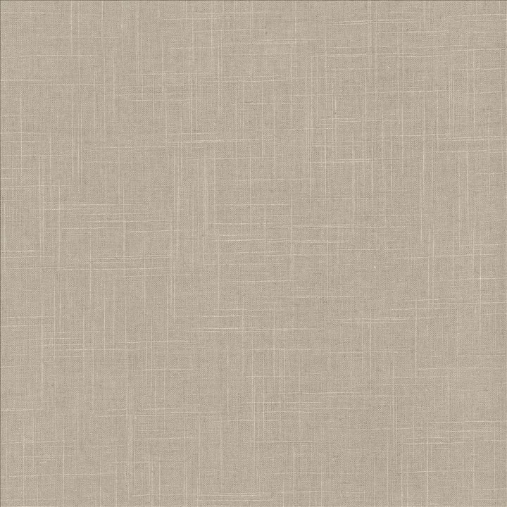 Brigadoon Shadow by Kasmir Designer Fabric 5175 55% Linen
45% Rayon
 CHINA </p><p>Repeat: Horizontal: N/A and Vertical: N/A 54 - 55 - Swanky Fabrics -