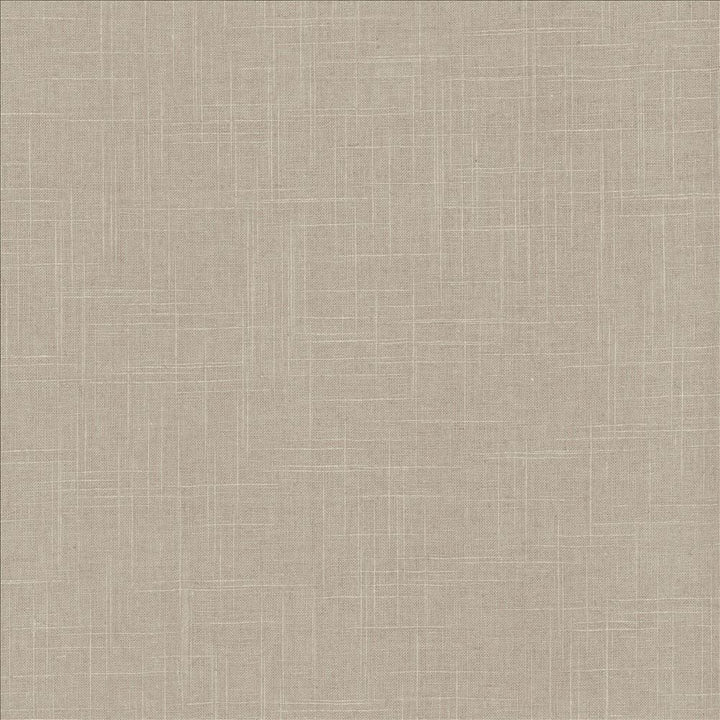 Brigadoon Shadow by Kasmir Designer Fabric 5175 55% Linen
45% Rayon
 CHINA 30,000 Wyzenbeek Double Rubs </p><p>Repeat: Horizontal: N/A and Vertical: N/A 54 - Swanky Fabrics -