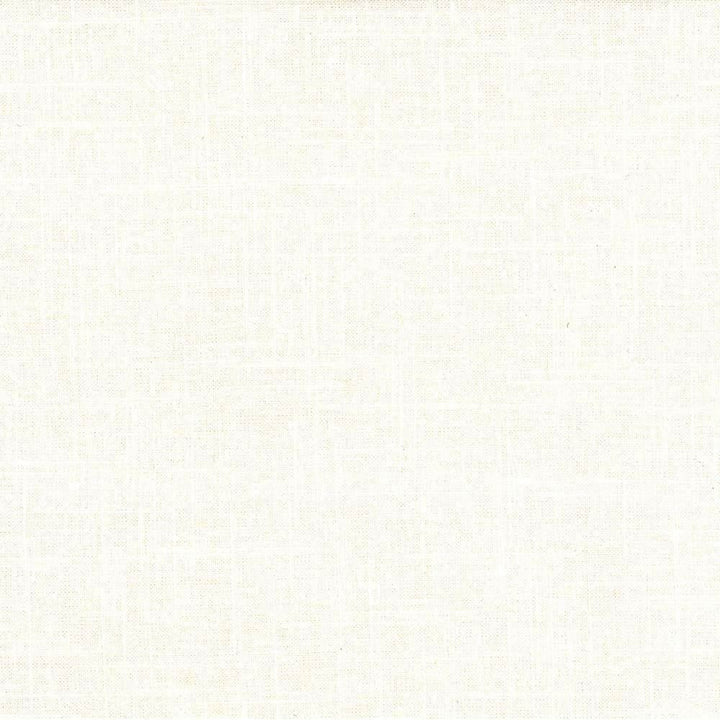 Brigadoon Snow  by Kasmir Designer Fabric 5048 55% Linen
45% Rayon
 CHINA 12,000 Wyzenbeek Double Rubs Horizontal: N/A and Vertical: N/A 54  - Swanky Fabrics -