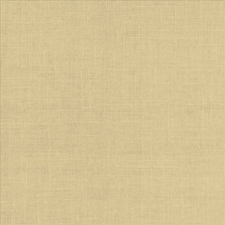 Brigadoon Verbena by Kasmir Designer Fabric 5175 55% Linen
45% Rayon
 CHINA 30,000 Wyzenbeek Double Rubs </p><p>Repeat: Horizontal: N/A and Vertical: N/A 54 - Swanky Fabrics -