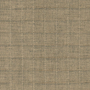 Brinkley Flint by Kasmir Designer Fabric
