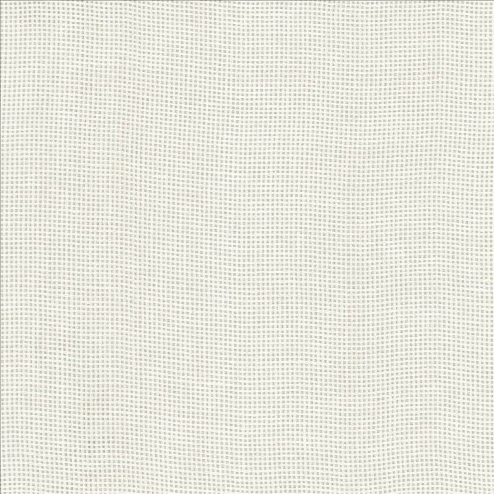 Bruno White  by Kasmir Designer Fabric 1459 100% Linen
 POLAND Not Tested Horizontal: N/A and Vertical: N/A 55  - Swanky Fabrics -