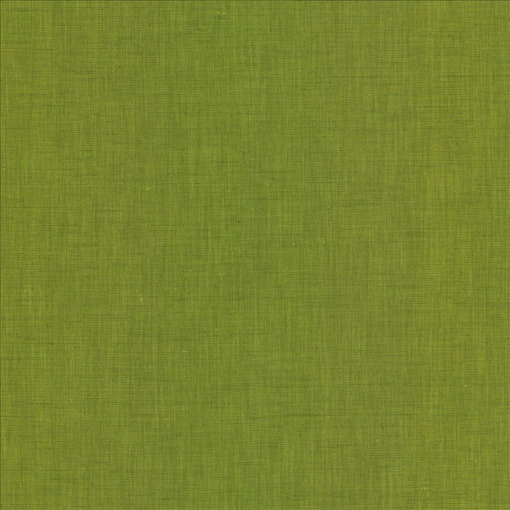 Brussels Grass by Kasmir Designer Fabric 5117 83% Polyester 17% Cotton INDIA 10,000 Martindale Cycles Horizontal: 0 Inches and Vertical: 0 Inches 54 - Swanky Fabrics -