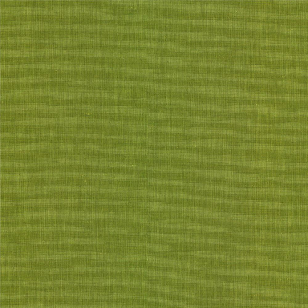 Brussels Grass by Kasmir Designer Fabric See sample 83% Polyester
17% Cotton
 INDIA 10,000 Martindale Cycles </p><p>Repeat: Horizontal: N/A and Vertical: N/A 54 - Swanky Fabrics -