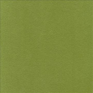 Bungalow Velvet Apple by Kasmir Designer Fabric 1411 100% Polyester KOREA 30,000 Wyzenbeek Double Rubs H: N/A, V: N/A 56 - 58 - Swanky Fabrics - Kasmir