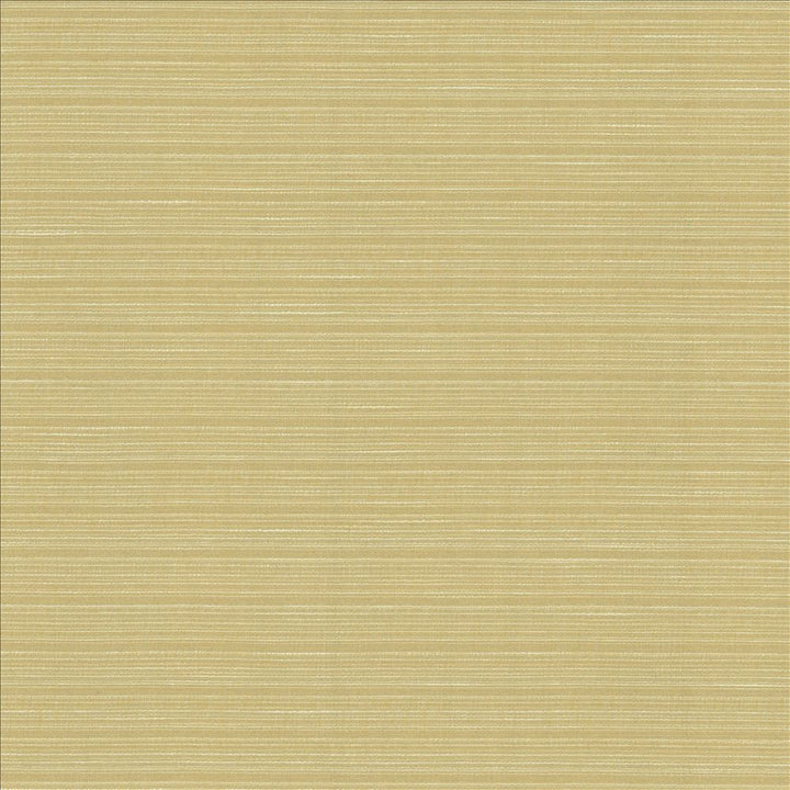 Burke Beeswax  by Kasmir Designer Fabric 5163 100% Polyester
 INDIA Not Tested Horizontal: N/A and Vertical: N/A 54  - Swanky Fabrics -