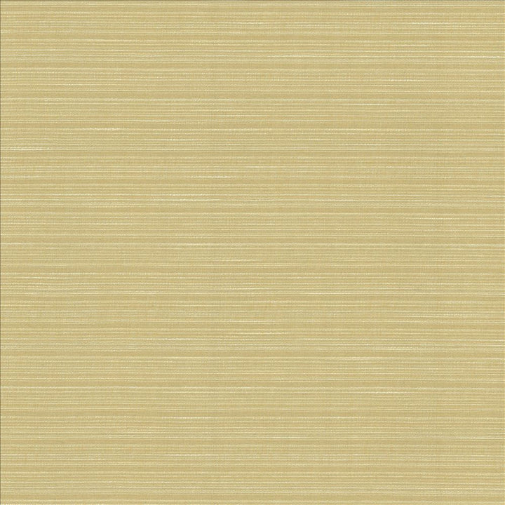 Burke Beeswax by Kasmir Designer Fabric 5163 100% Polyester
 INDIA Not Tested </p><p>Repeat: Horizontal: N/A and Vertical: N/A 54 - Swanky Fabrics -