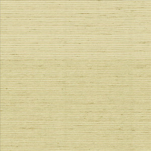 Burke Cotton by Kasmir Designer Fabric