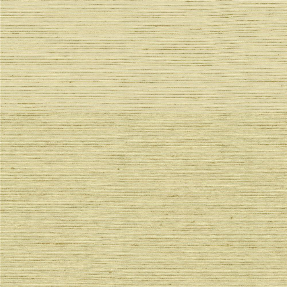 Burke Cotton by Kasmir Designer Fabric See sample 100% Polyester
 INDIA Not Tested </p><p>Repeat: Horizontal: N/A and Vertical: N/A 54 - Swanky Fabrics -