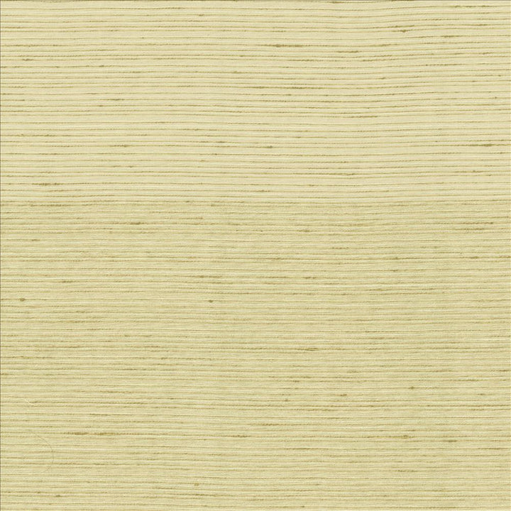 Burke Cotton by Kasmir Designer Fabric 5163 100% Polyester
 INDIA Not Tested </p><p>Repeat: Horizontal: N/A and Vertical: N/A 54 - Swanky Fabrics -