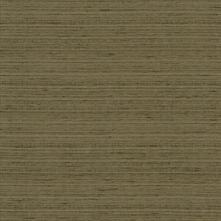 Burke Mineral by Kasmir Designer Fabric 5163 100% Polyester
 INDIA </p><p>Repeat: Horizontal: N/A and Vertical: N/A 54 - Swanky Fabrics -
