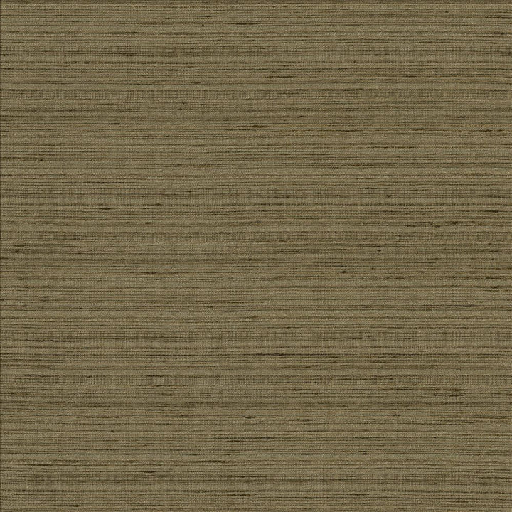 Burke Mineral by Kasmir Designer Fabric 5163 100% Polyester
 INDIA Not Tested </p><p>Repeat: Horizontal: N/A and Vertical: N/A 54 - Swanky Fabrics -