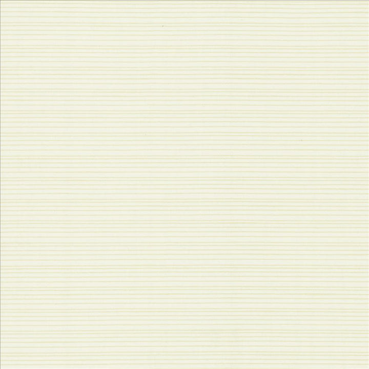 Burke Sea Salt by Kasmir Designer Fabric 5163 100% Polyester
 INDIA </p><p>Repeat: Horizontal: N/A and Vertical: N/A 54 - Swanky Fabrics -