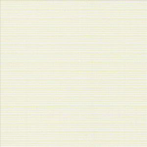 Burke Sea Salt by Kasmir Designer Fabric