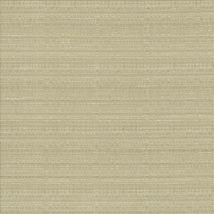 Burke Silt  by Kasmir Designer Fabric 5163 100% Polyester
 INDIA Not Tested Horizontal: N/A and Vertical: N/A 54  - Swanky Fabrics -
