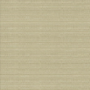 Burke Silt by Kasmir Designer Fabric