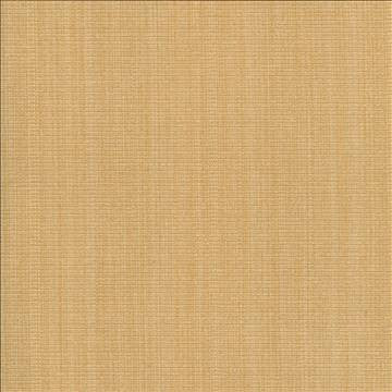 Burnet Butter by Kasmir Designer Fabric 1327 52% Cotton 31% Polyester 17% Rayon CHINA 60,000 Wyzenbeek Double Rubs H: N/A, V: N/A 58 - Swanky Fabrics - Kasmir
