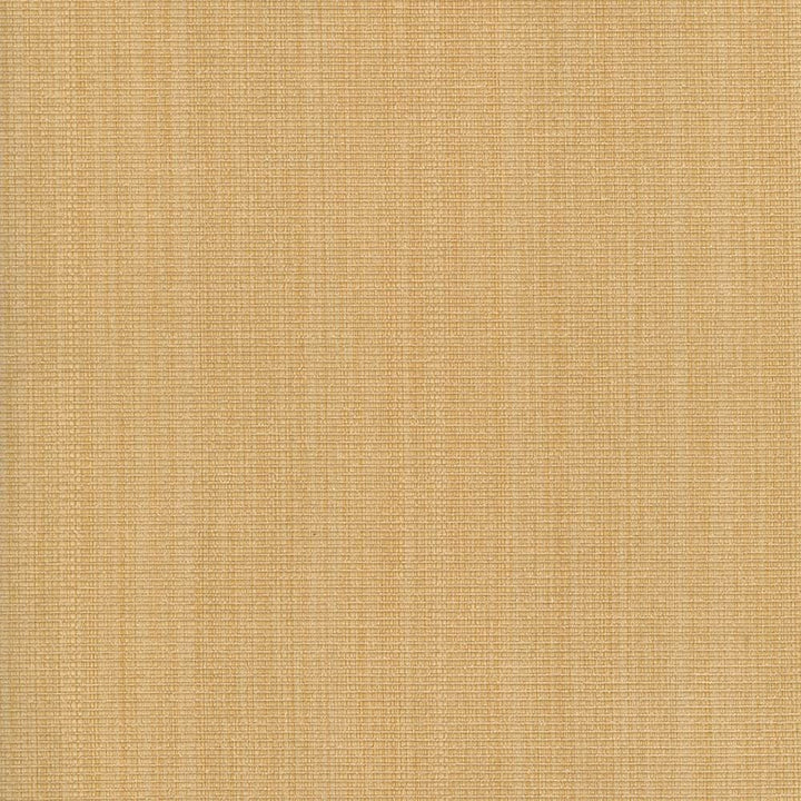 Burnet Butter  by Kasmir Designer Fabric 5069 52% Cotton
31% Polyester
17% Rayon
 CHINA 60,000 Wyzenbeek Double Rubs Horizontal: N/A and Vertical: N/A 58  - Swanky Fabrics -