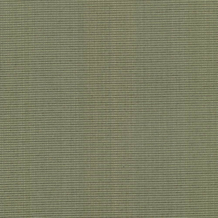 Burnet Sage by Kasmir Designer Fabric 5074 52% Cotton
31% Polyester
17% Rayon
 CHINA </p><p>Repeat: Horizontal: N/A and Vertical: N/A 58 - Swanky Fabrics -