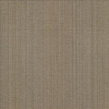 Burnet Walnut by Kasmir Designer Fabric 5068 52% Cotton 31% Polyester 17% Rayon CHINA 60,000 Wyzenbeek Double Rubs H: N/A, V: N/A 58 - Swanky Fabrics - Kasmir