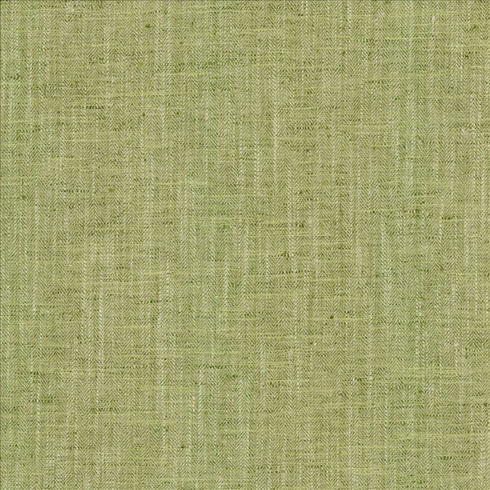 By A Mile Grass by Kasmir Designer Fabric 5162 100% Polyester
 INDIA </p><p>Repeat: Horizontal: N/A and Vertical: N/A 54 - Swanky Fabrics -