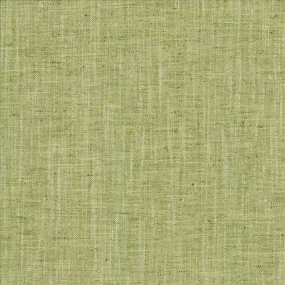 By A Mile Grass by Kasmir Designer Fabric 5162 100% Polyester
 INDIA 51,000 Wyzenbeek Double Rubs </p><p>Repeat: Horizontal: N/A and Vertical: N/A 54 - Swanky Fabrics -