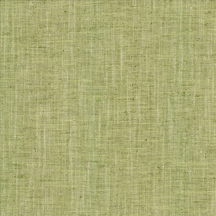 By A Mile Grass by Kasmir Designer Fabric 5162 100% Polyester
 INDIA 51,000 Wyzenbeek Double Rubs </p><p>Repeat: Horizontal: N/A and Vertical: N/A 54 - Swanky Fabrics -