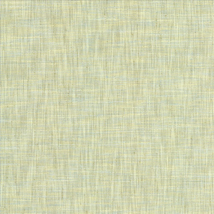 By A Mile Mint Julep by Kasmir Designer Fabric 5162 100% Polyester
 INDIA </p><p>Repeat: Horizontal: N/A and Vertical: N/A 54 - Swanky Fabrics -