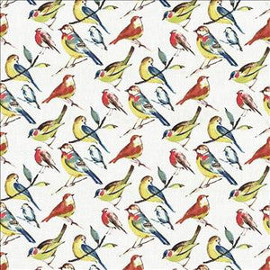 Bye Bye Birdie Summer by Kasmir Designer Fabric