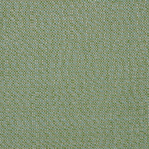 SAV2 J354 140 Savane Spring by Sunbrella Designer Fabric