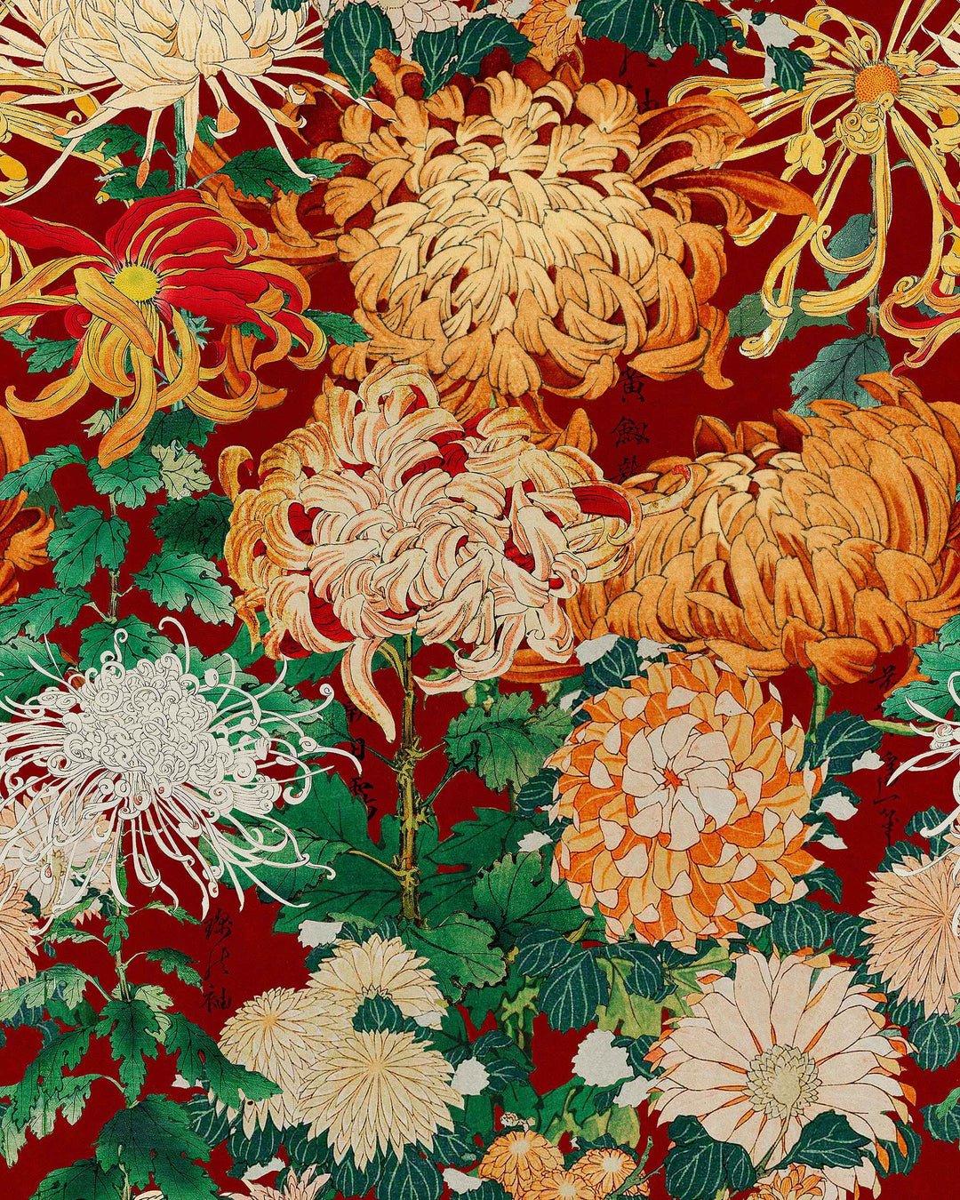 Chrysanthemums wallpaper by Mind the Gap (WP20320), swatch