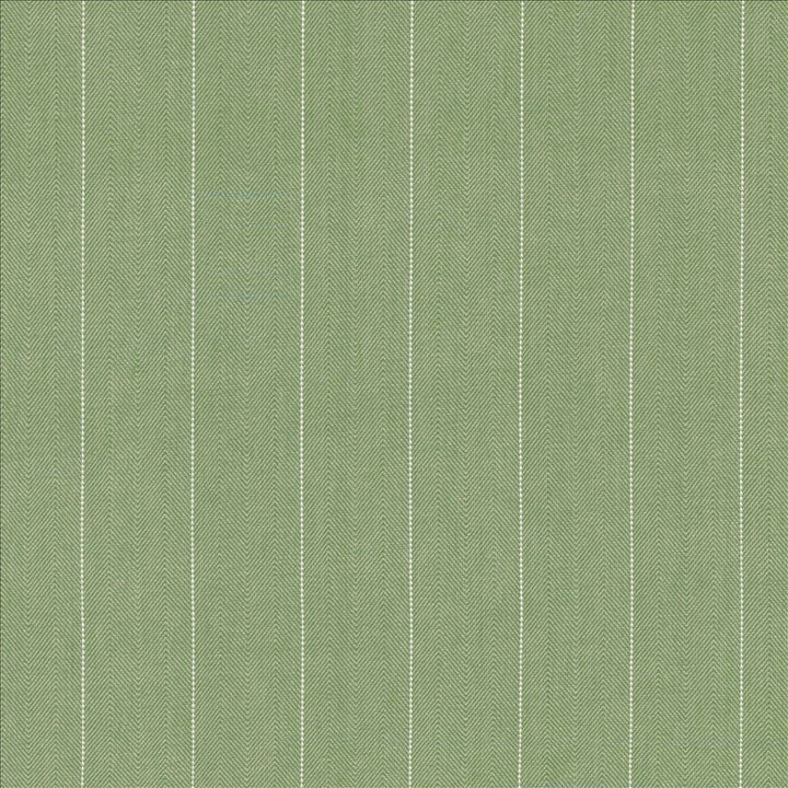 Campus Stripe Thyme by Kasmir Designer Fabric 5145 100% Cotton
 INDIA </p><p>Repeat: Horizontal: 3 inches and Vertical: N/A 54 - Swanky Fabrics -
