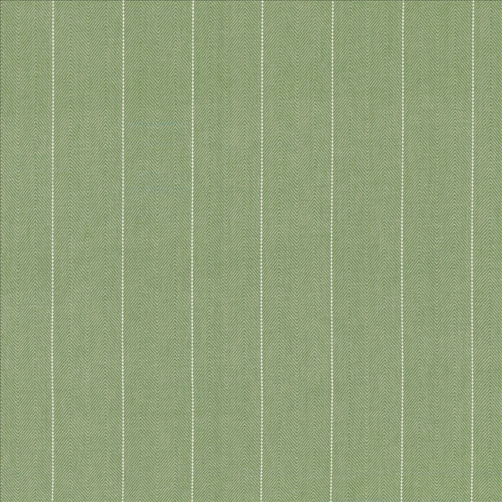 Campus Stripe Thyme by Kasmir Designer Fabric See sample 100% Cotton
 INDIA 12,000 Wyzenbeek Double Rubs </p><p>Repeat: Horizontal: 3 inches and Vertical: N/A 54 - Swanky Fabrics -