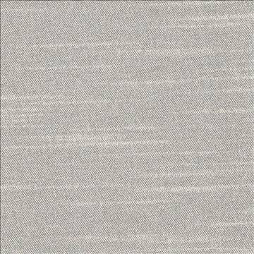 Canal Street Platinum by Kasmir Designer Fabric 1412 100% Polyester CHINA Not Tested H: N/A, V: N/A 61 - 62 - Swanky Fabrics - Kasmir