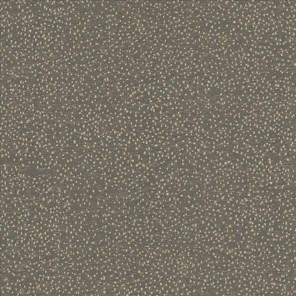 Carissa Charcoal by Kasmir Designer Fabric 1462 100% Polyester
 CHINA 76,000 Wyzenbeek Double Rubs </p><p>Repeat: Horizontal: N/A and Vertical: N/A 56 - Swanky Fabrics -