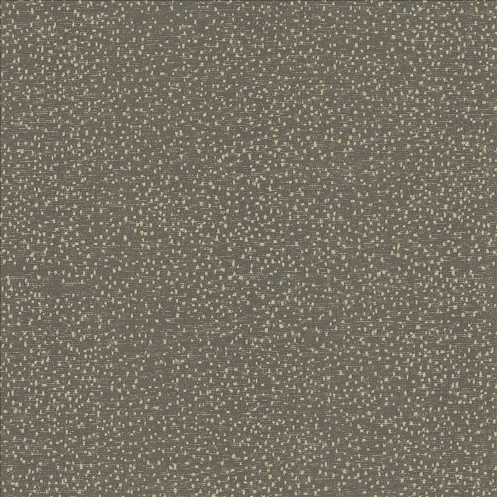 Carissa Charcoal by Kasmir Designer Fabric 1462 100% Polyester
 CHINA 76,000 Wyzenbeek Double Rubs </p><p>Repeat: Horizontal: N/A and Vertical: N/A 56 - Swanky Fabrics -