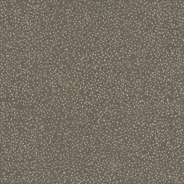 Carissa Charcoal by Kasmir Designer Fabric 1462 100% Polyester
 CHINA </p><p>Repeat: Horizontal: N/A and Vertical: N/A 56 - Swanky Fabrics -