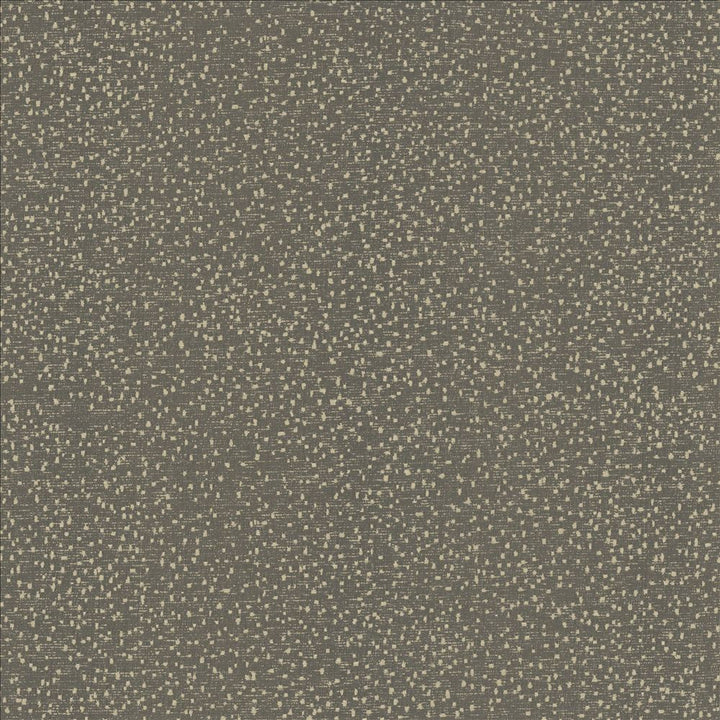 Carissa Charcoal by Kasmir Designer Fabric See sample 100% Polyester
 CHINA 76,000 Wyzenbeek Double Rubs </p><p>Repeat: Horizontal: N/A and Vertical: N/A 56 - Swanky Fabrics -