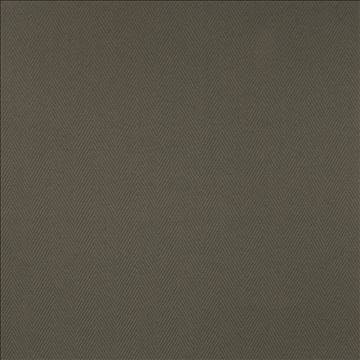 Cavallis Graphite by Kasmir Designer Fabric 5101 65% Cotton 35% Polyester CHINA 51,000 Wyzenbeek Double Rubs H: 2 inches, V: 3/8 inches 57 - Swanky Fabrics - Kasmir