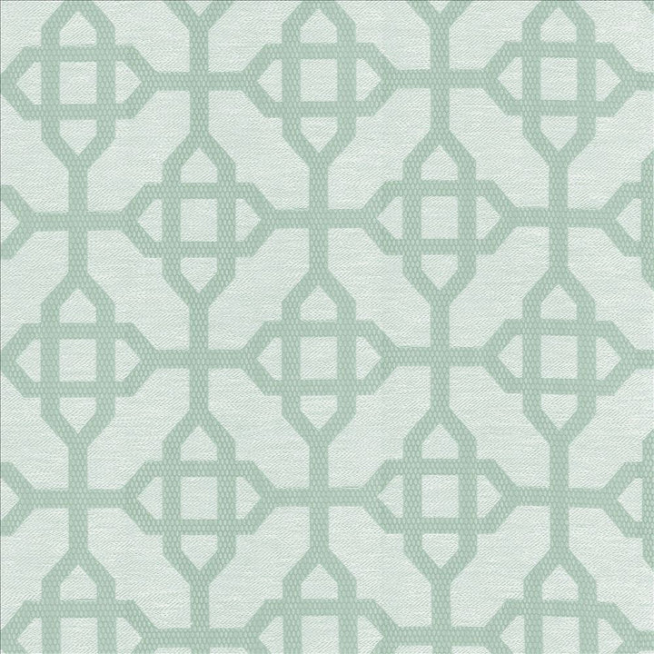 Cavetto Aqua by Kasmir Designer Fabric 5114 66% Polyester
34% Cotton
 INDIA </p><p>Repeat: Horizontal: 6 6/8 inches and Vertical: 7 inches 54 - Swanky Fabrics -