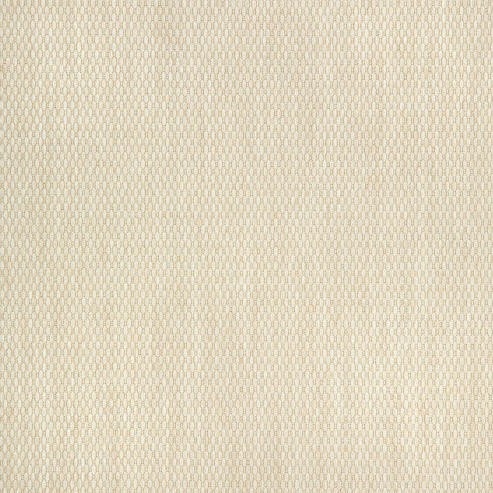 40421-0002 Pique Flax by Sunbrella Designer Fabric Sunbrella Fusion SunbrellaÂ® Acrylic, SunbrellaÂ® Polyester USA or Imported 5-Year Horizontal: Yes and Vertical: 60 yd. 54 in. - Swanky Fabrics -