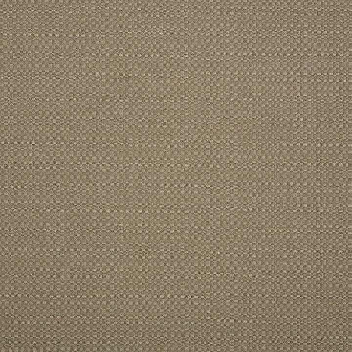44285-0003 Action Taupe by Sunbrella Designer Fabric Sunbrella Elements - Decorative Sunbrella® Acrylic, Sunbrella® Polyester, Sunbrella® Non-Phthalate PVC USA or Imported 5-Year Horizontal: 60 yd. and Vertical: 2.9 in. 54 in. - Swanky Fabrics -