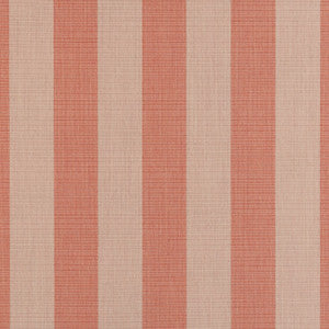 Expressive Blush 14123-0000 by Sunbrella Designer Fabric