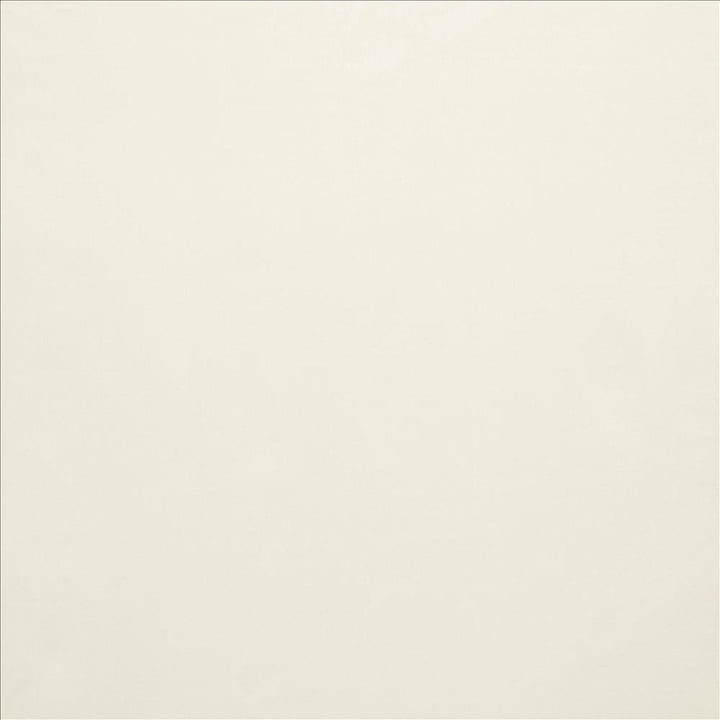 Celine Bone by Kasmir Designer Fabric 5157 100% Polyester
 TURKEY Not Tested </p><p>Repeat: Horizontal: N/A and Vertical: N/A 118 - Swanky Fabrics -