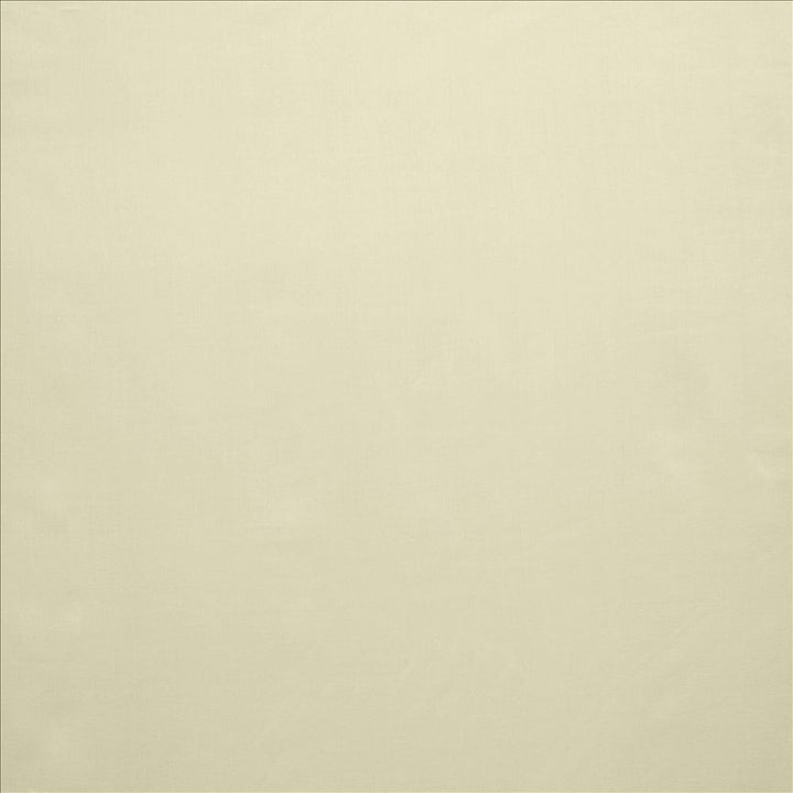 Celine Prosecco by Kasmir Designer Fabric 5157 100% Polyester TURKEY Not Tested Horizontal: 0 Inches and Vertical: 0 Inches 118 - Swanky Fabrics -