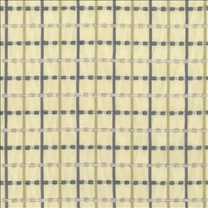 Cha Cha Check Pewter by Kasmir Designer Fabric
