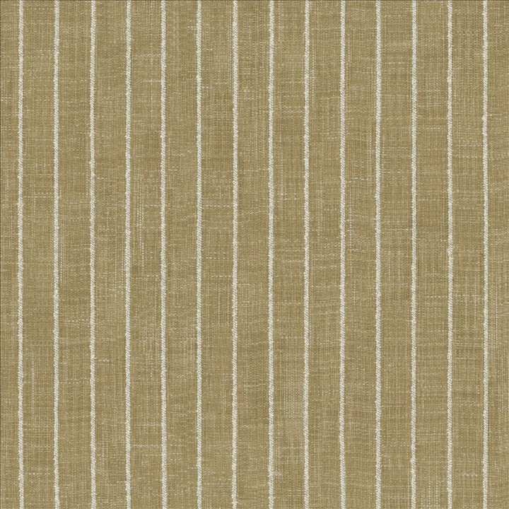 Charismatic Jasmine by Kasmir Designer Fabric 1471 73% Polyester
27% Cotton
 INDIA 20,000 Wyzenbeek Double Rubs </p><p>Repeat: Horizontal: 1 inches and Vertical: N/A 54 - Swanky Fabrics -