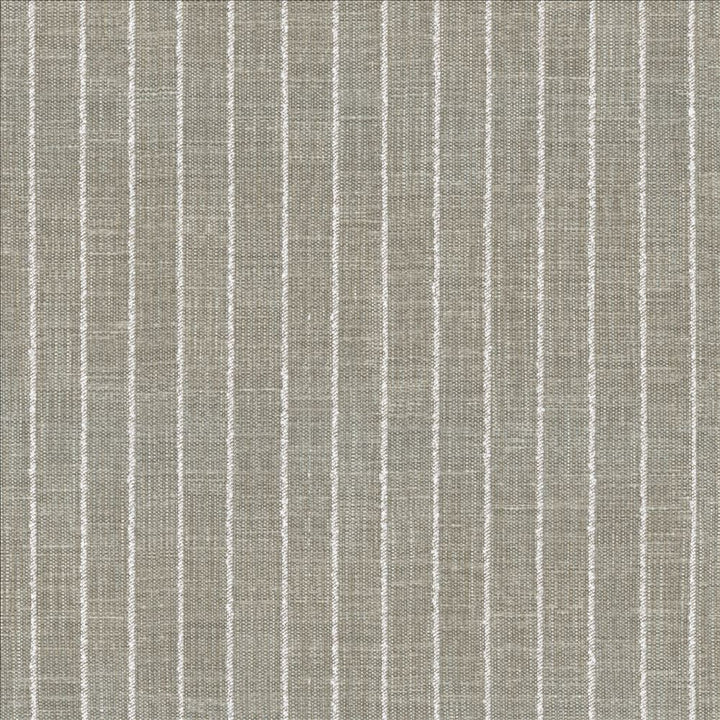 Charismatic Platinum by Kasmir Designer Fabric 1471 73% Polyester
27% Cotton
 INDIA 20,000 Wyzenbeek Double Rubs </p><p>Repeat: Horizontal: 1 inches and Vertical: N/A 54 - Swanky Fabrics -